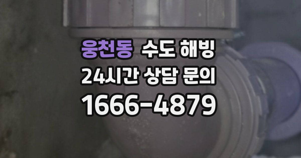 웅천동 수도 해빙