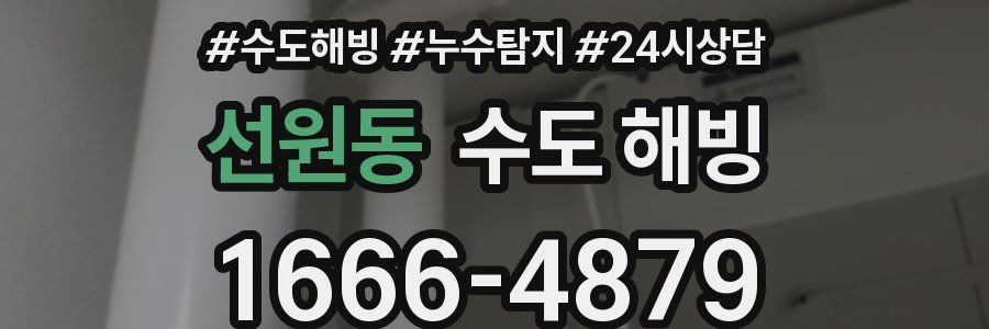 선원동 수도 해빙