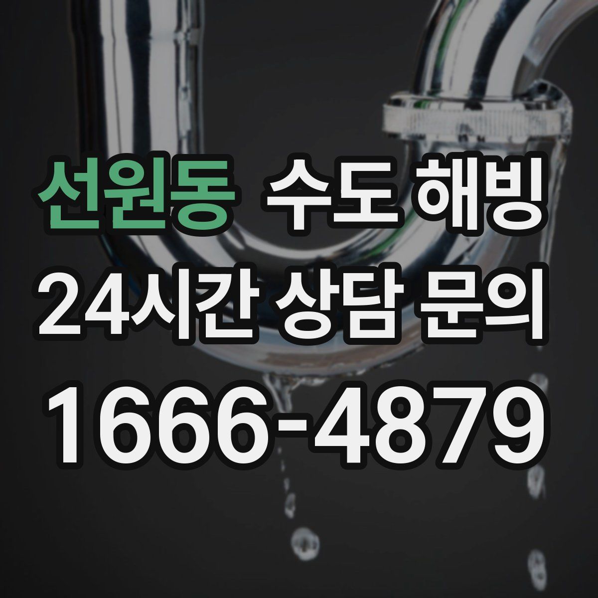 선원동 수도 해빙