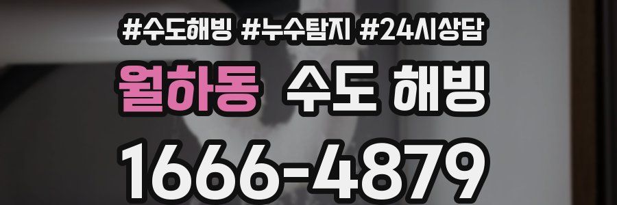 월하동 수도 해빙