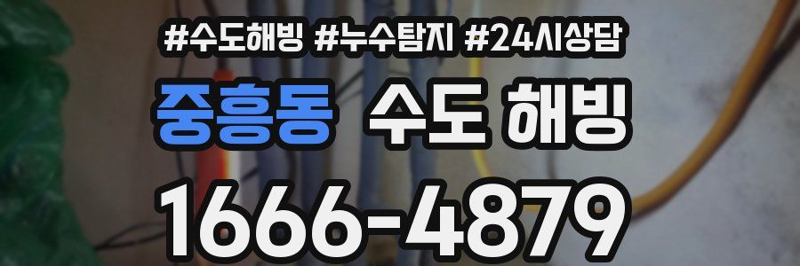 중흥동 수도 해빙