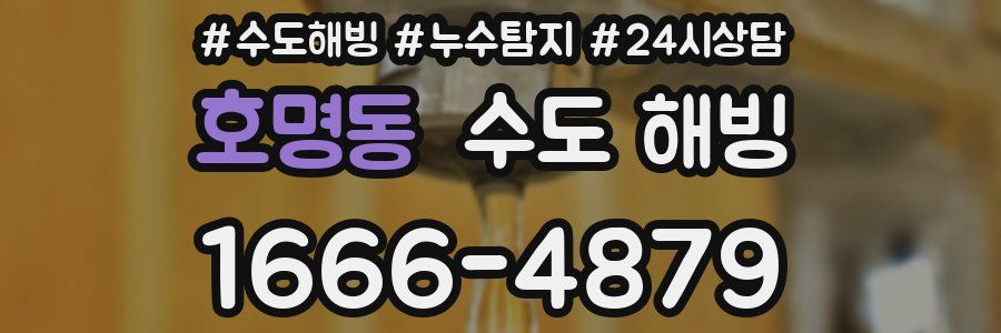 호명동 수도 해빙
