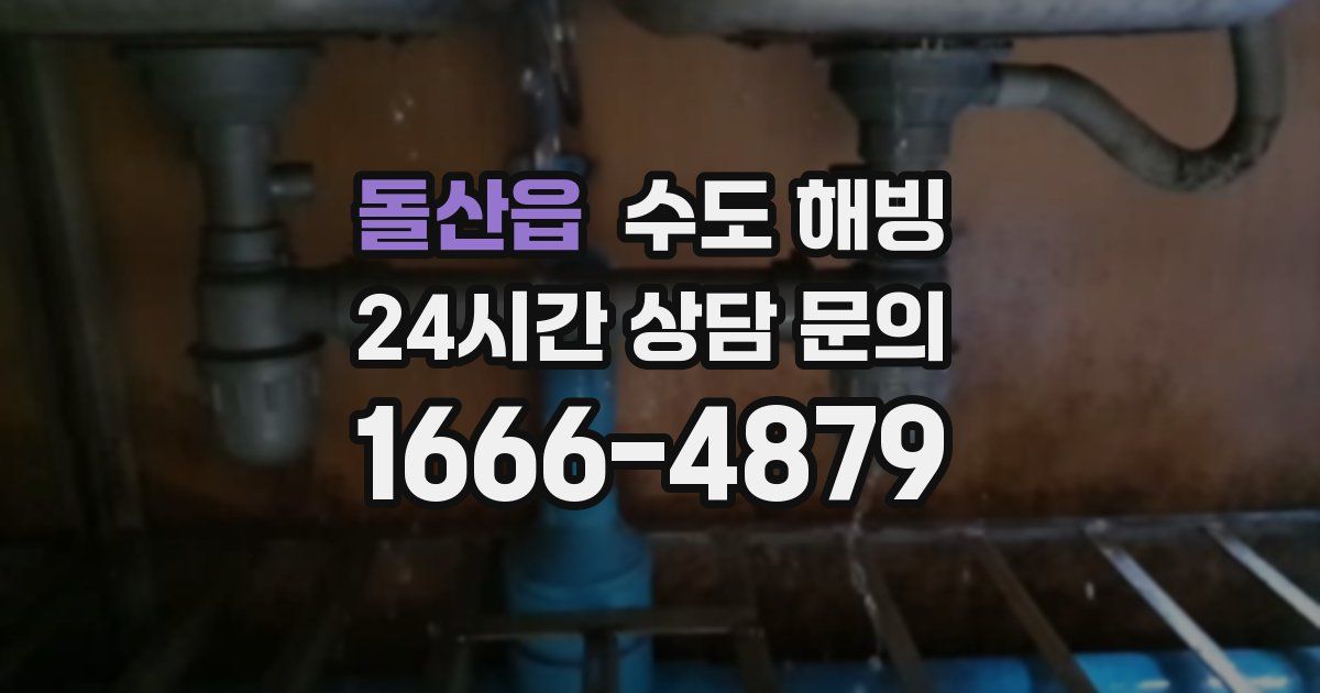 돌산읍 수도 해빙