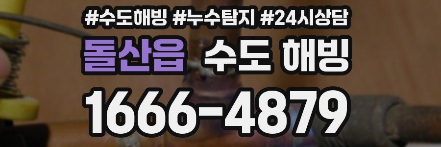 돌산읍 수도 해빙