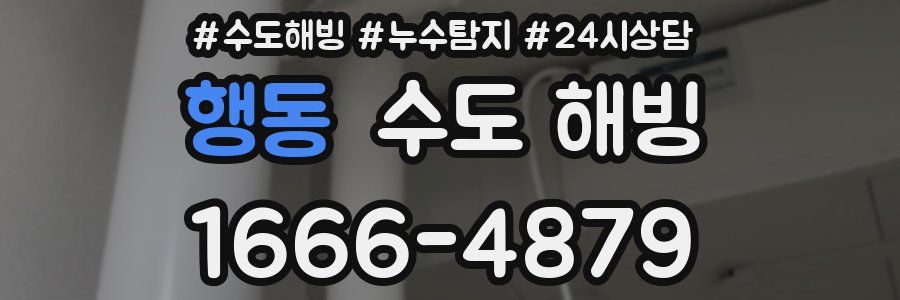 행동 수도 해빙