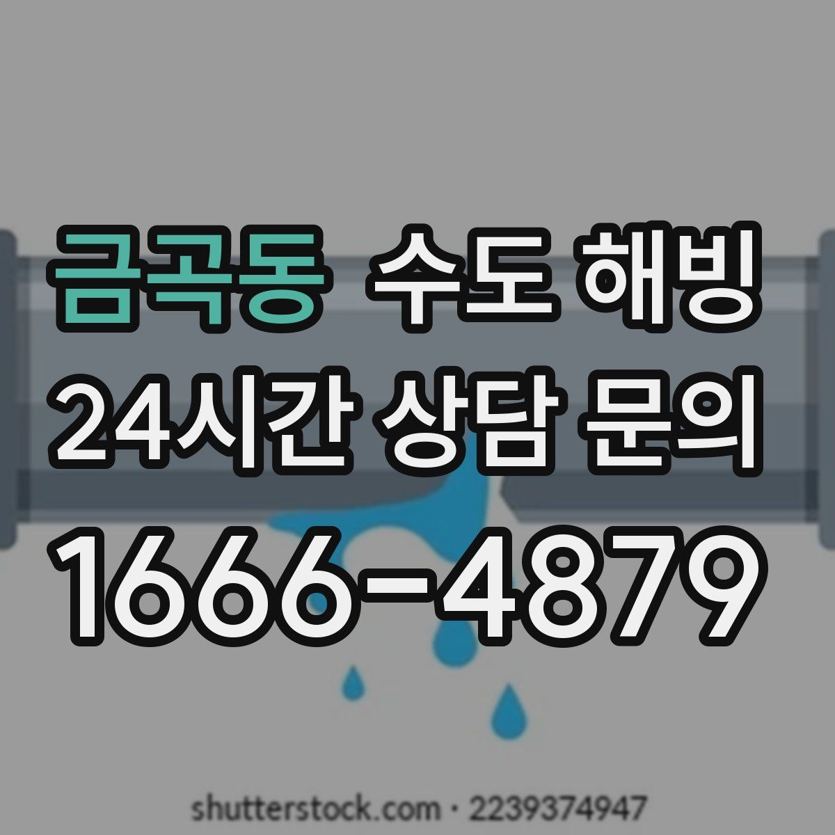 금곡동 수도 해빙