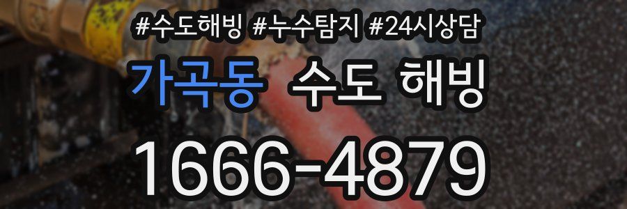 가곡동 수도 해빙