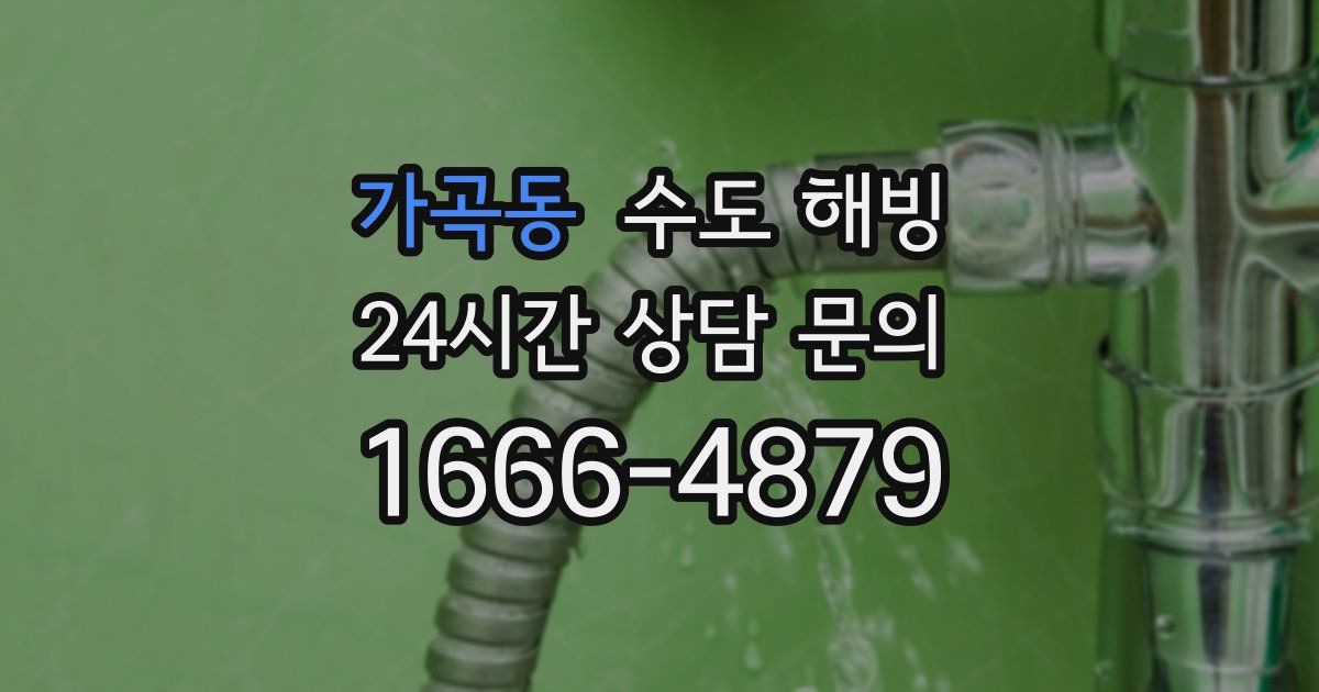 가곡동 수도 해빙