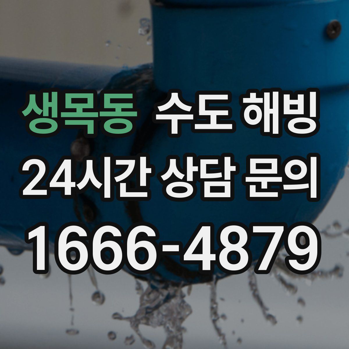 생목동 수도 해빙