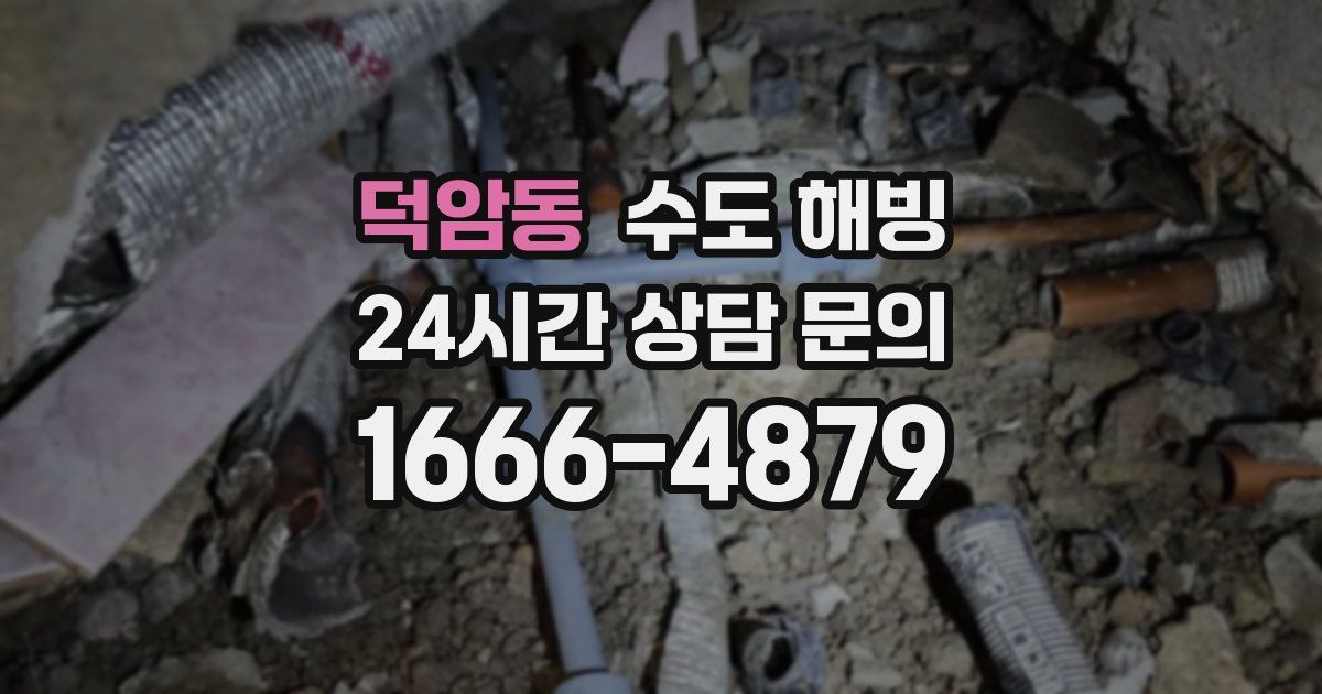 덕암동 수도 해빙