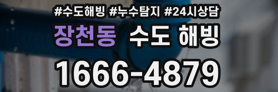 장천동 수도 해빙