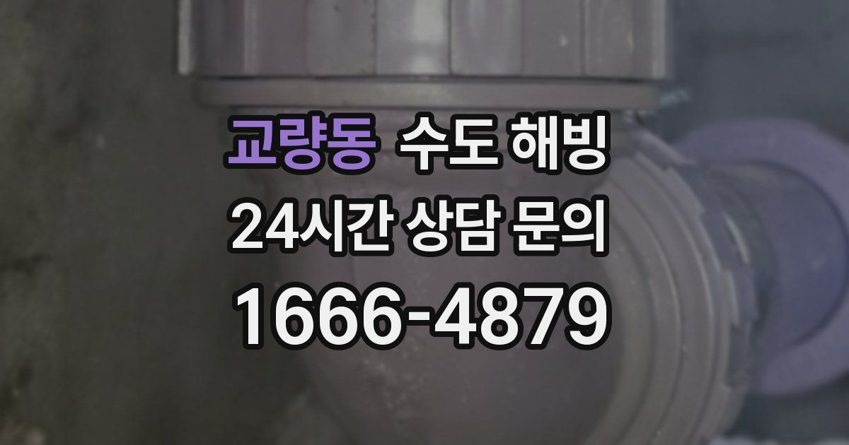 교량동 수도 해빙