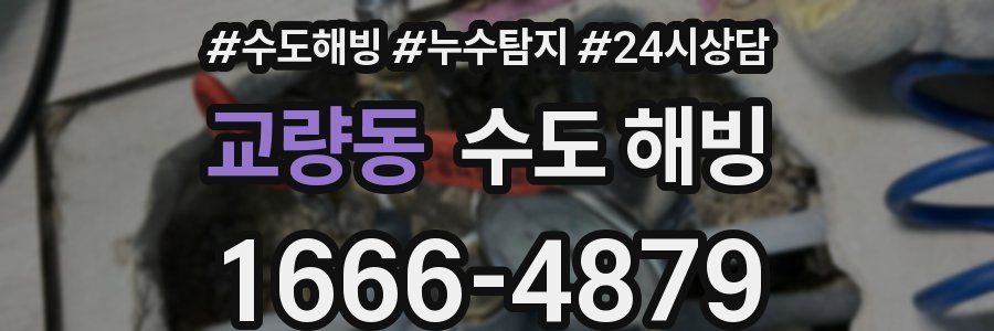 교량동 수도 해빙