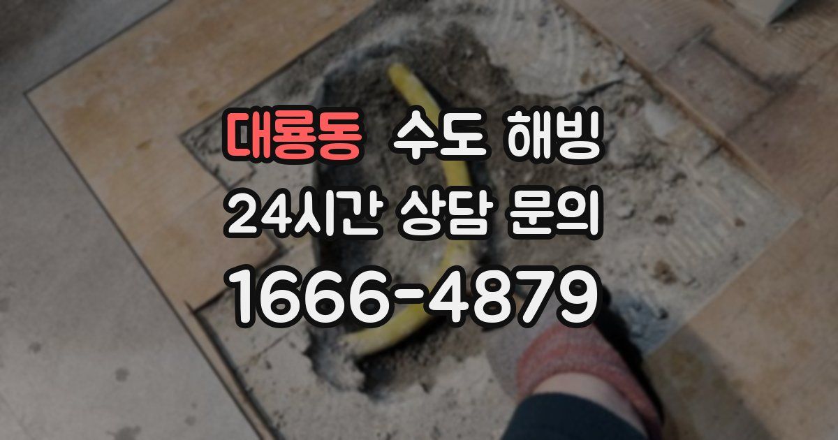 대룡동 수도 해빙