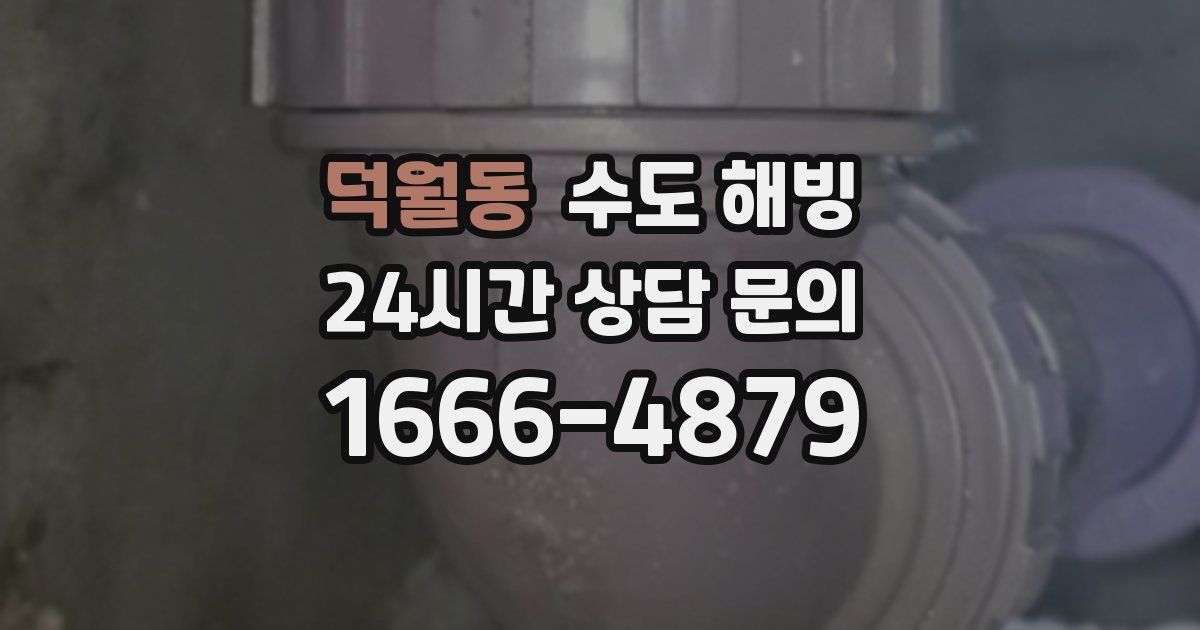 덕월동 수도 해빙