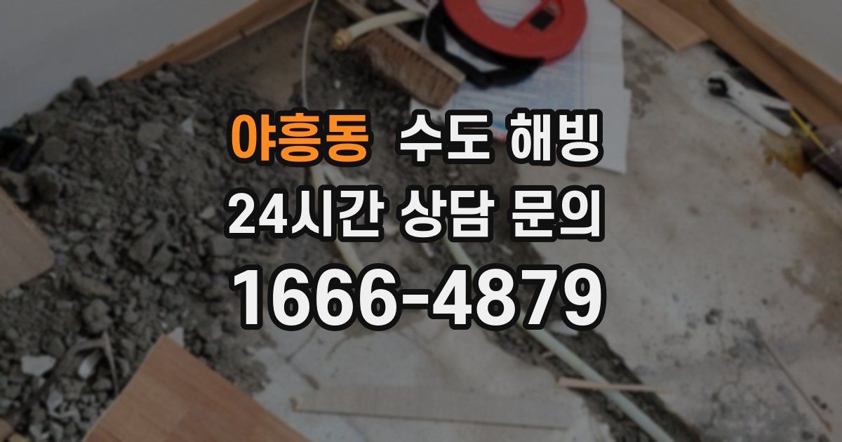 야흥동 수도 해빙