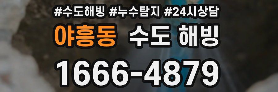 야흥동 수도 해빙