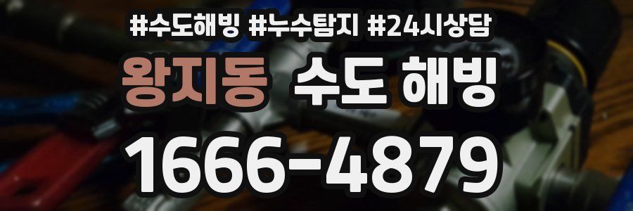 왕지동 수도 해빙