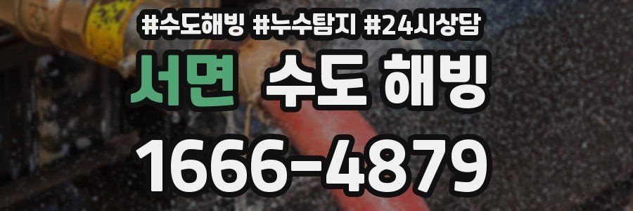 서면 수도 해빙