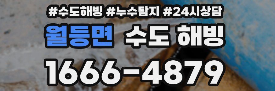 월등면 수도 해빙