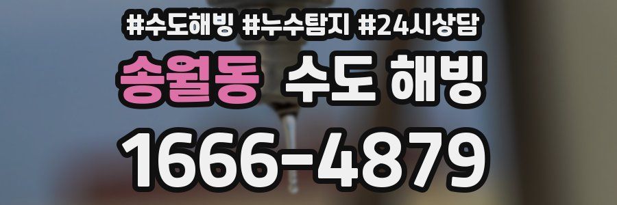 송월동 수도 해빙