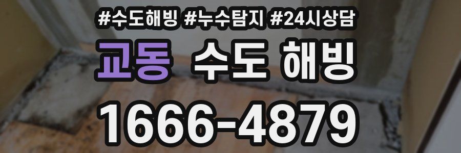 교동 수도 해빙