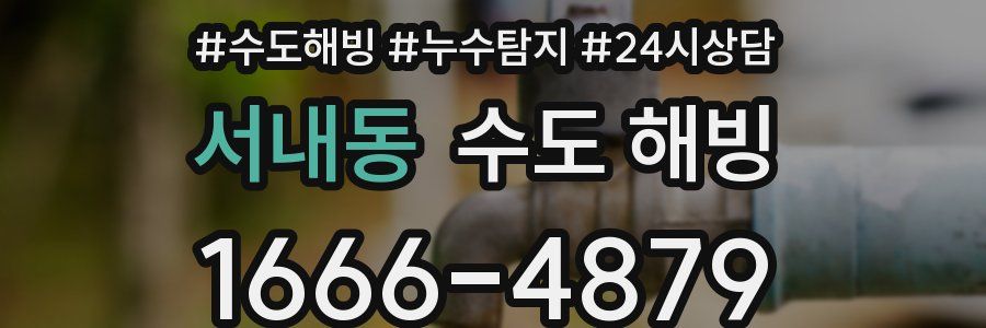 서내동 수도 해빙