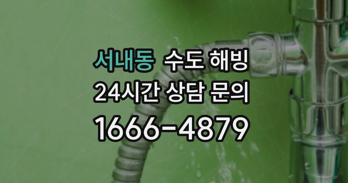 서내동 수도 해빙