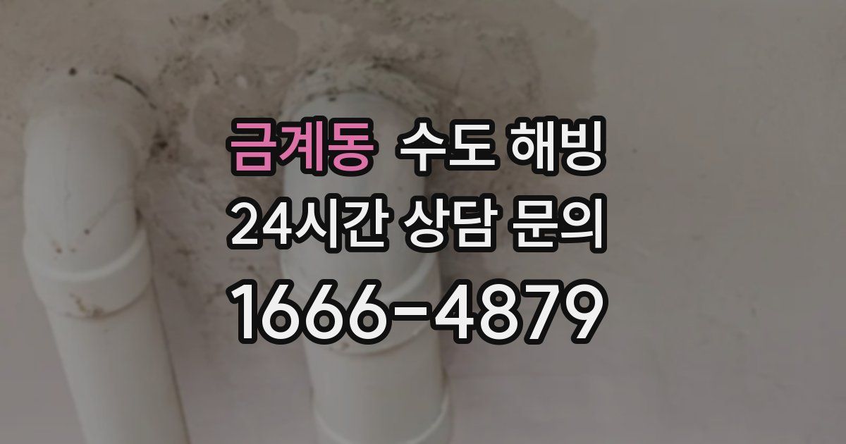 금계동 수도 해빙