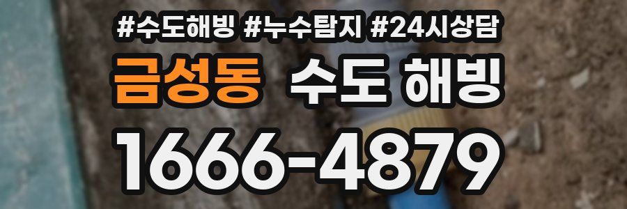 금성동 수도 해빙