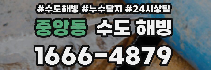 중앙동 수도 해빙