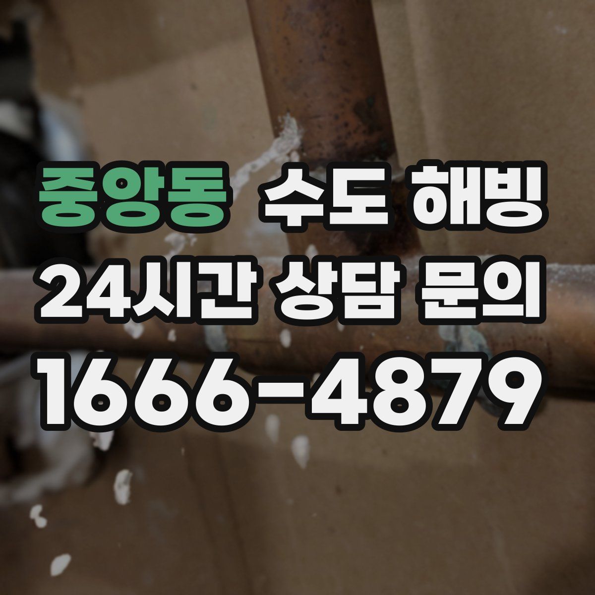 중앙동 수도 해빙