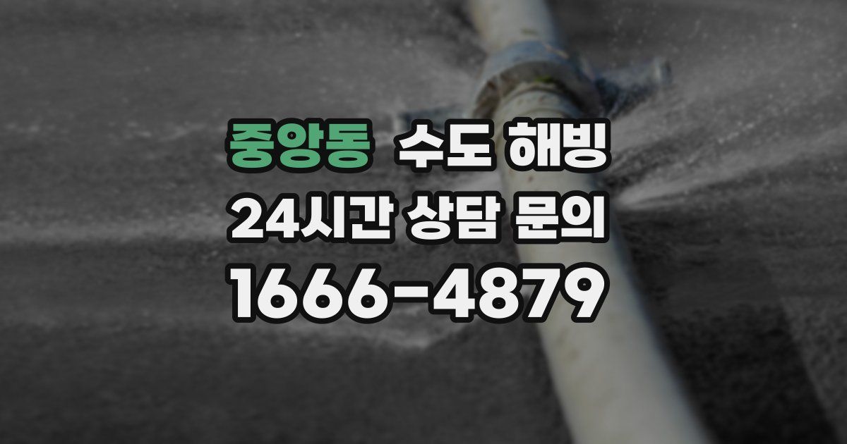 중앙동 수도 해빙