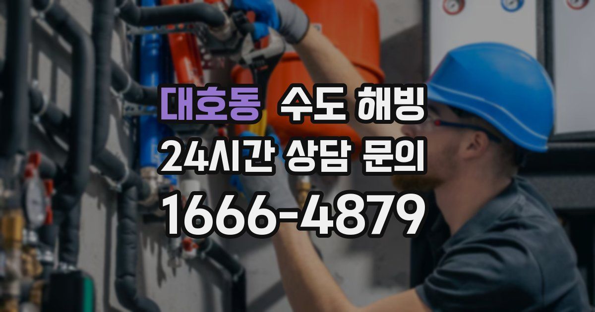 대호동 수도 해빙