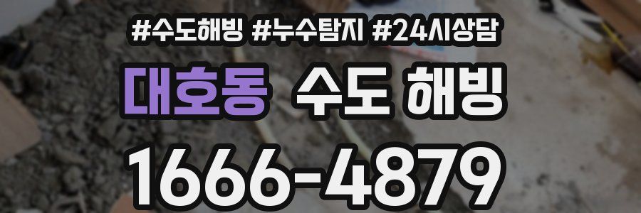 대호동 수도 해빙