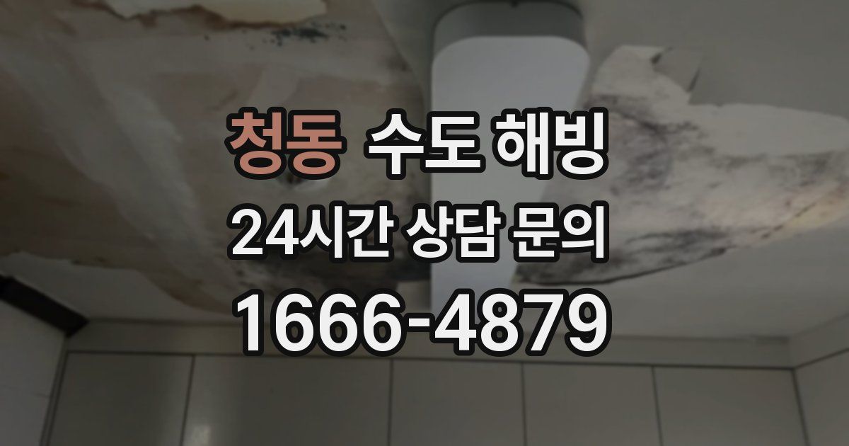 청동 수도 해빙