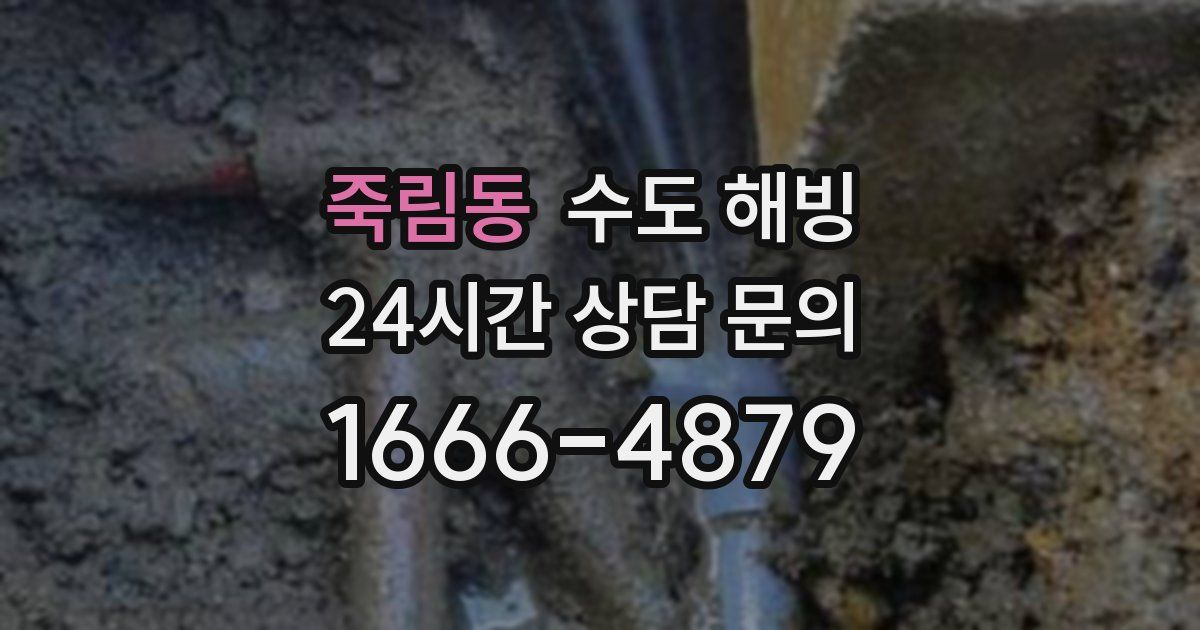 죽림동 수도 해빙