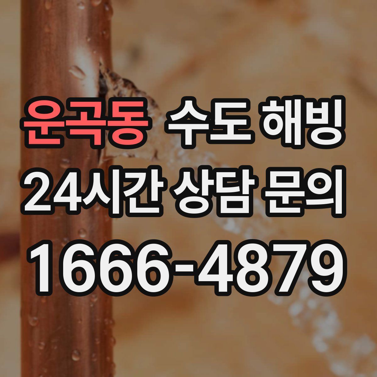 운곡동 수도 해빙