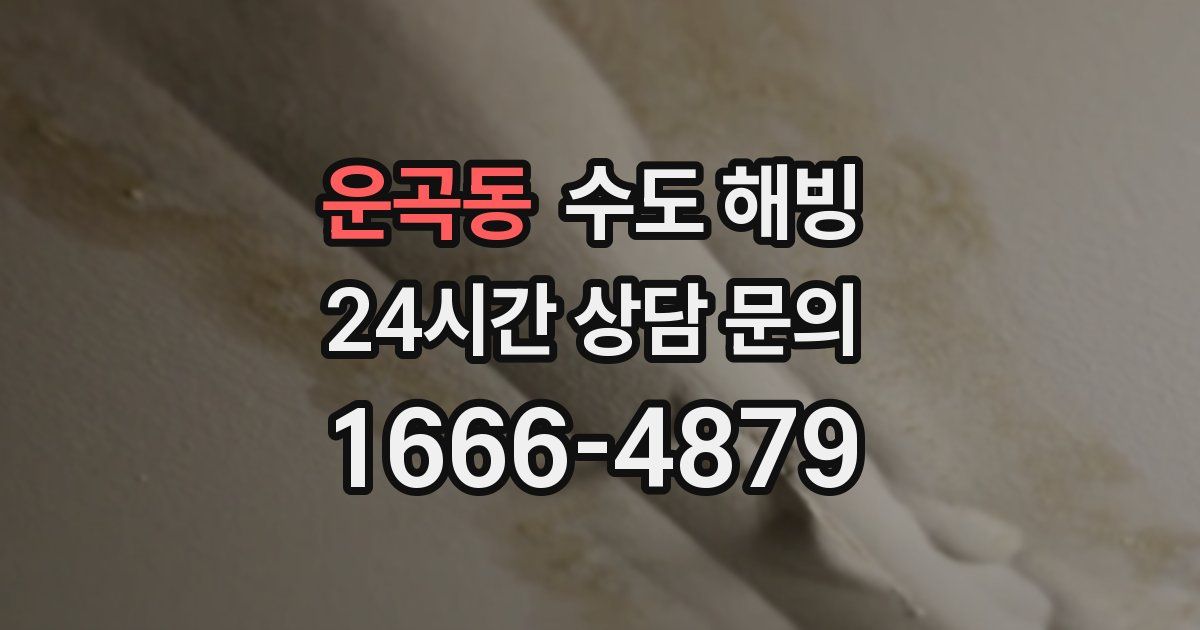 운곡동 수도 해빙