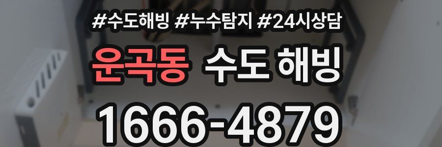 운곡동 수도 해빙