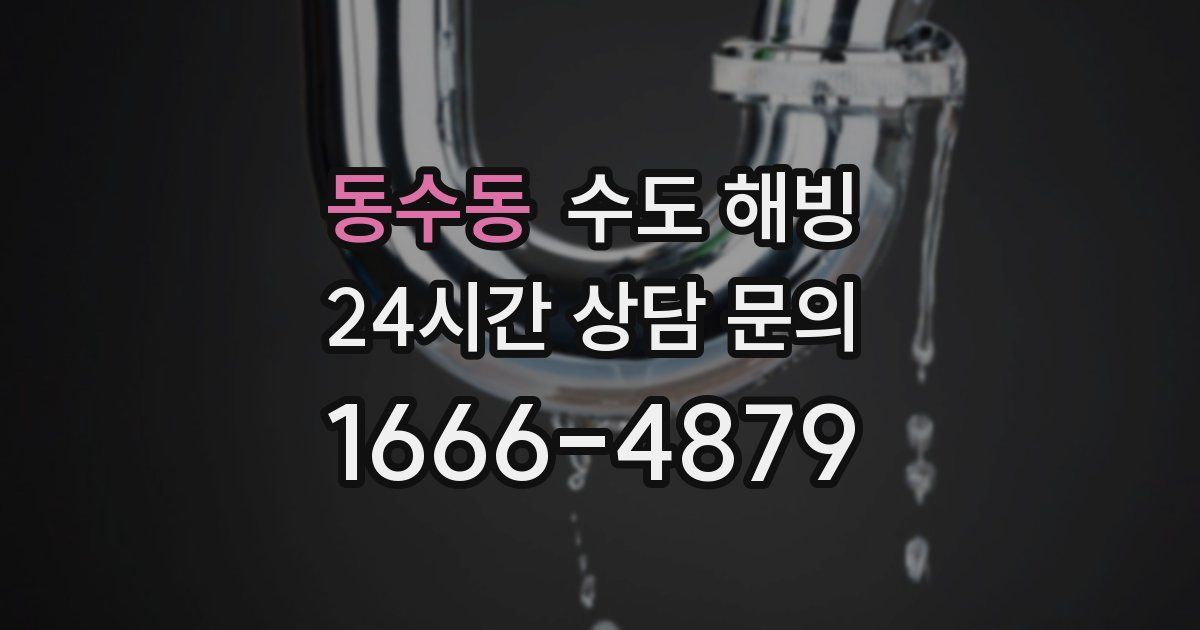 동수동 수도 해빙