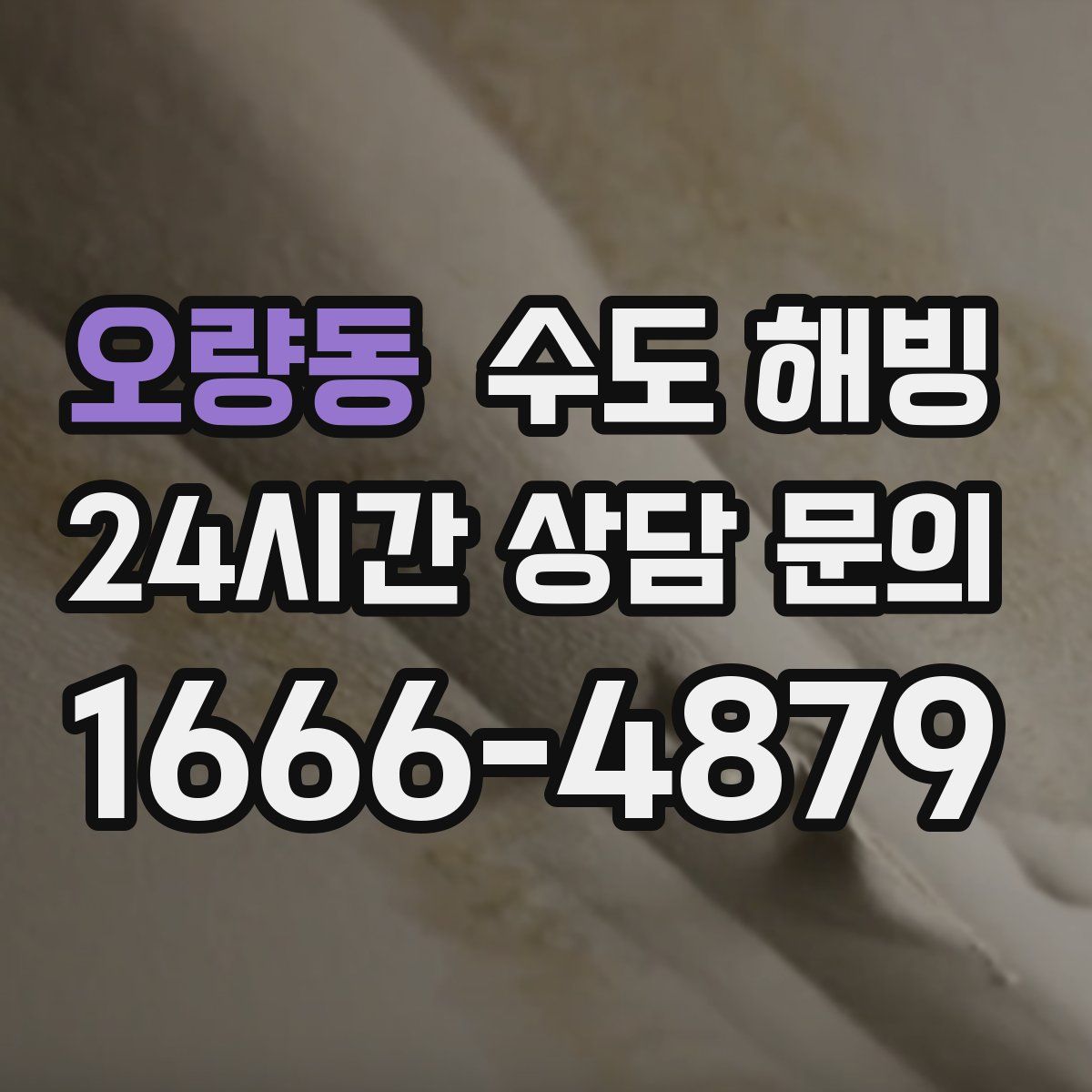 오량동 수도 해빙