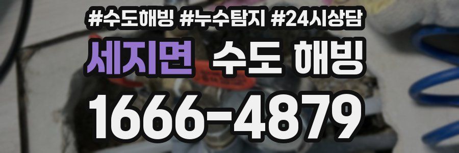 세지면 수도 해빙