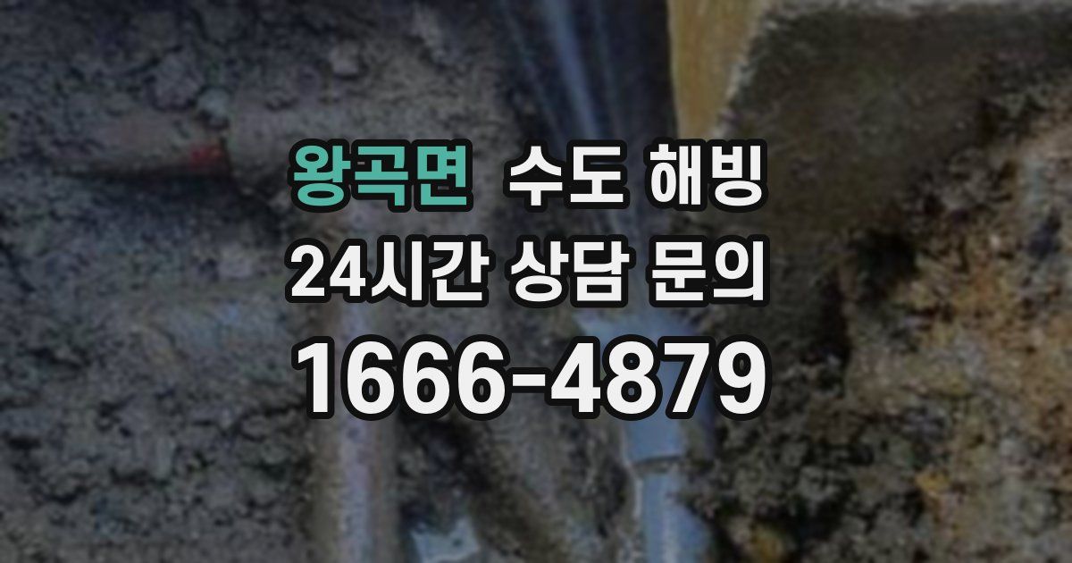 왕곡면 수도 해빙