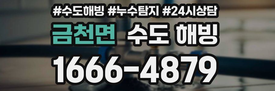 금천면 수도 해빙