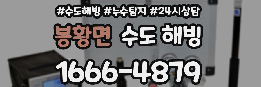 봉황면 수도 해빙