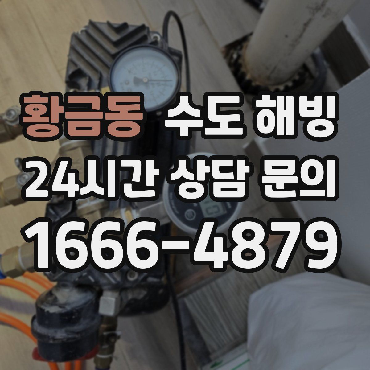 황금동 수도 해빙