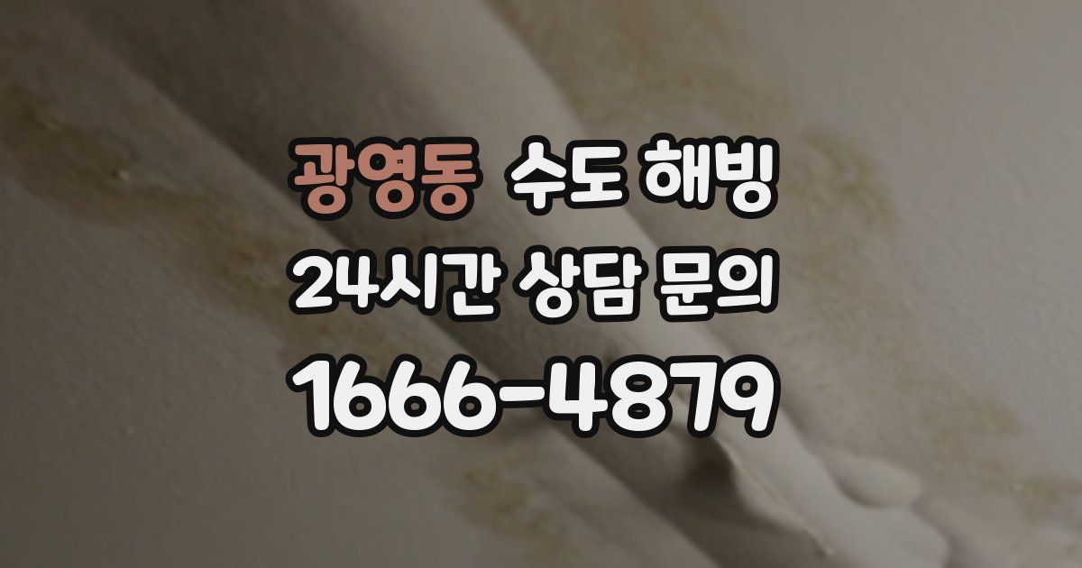 광영동 수도 해빙