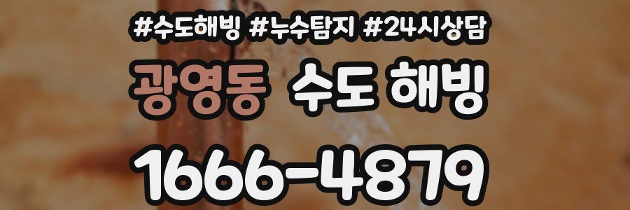 광영동 수도 해빙