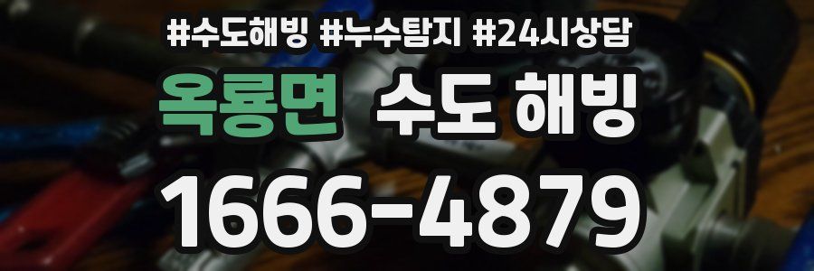 옥룡면 수도 해빙